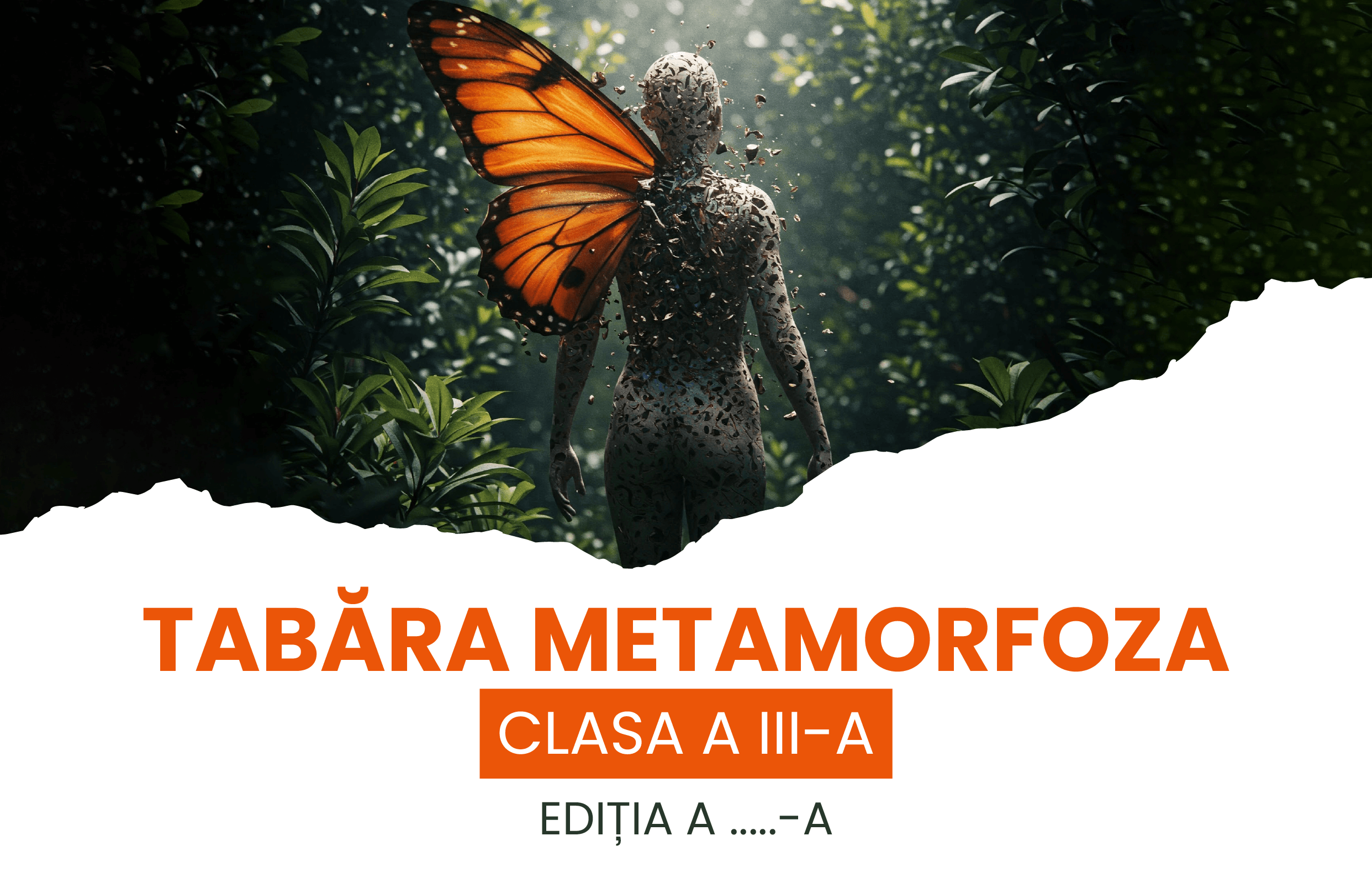 proiect-bannere-tabere-LP-2025_tabara-Metamorfoza
