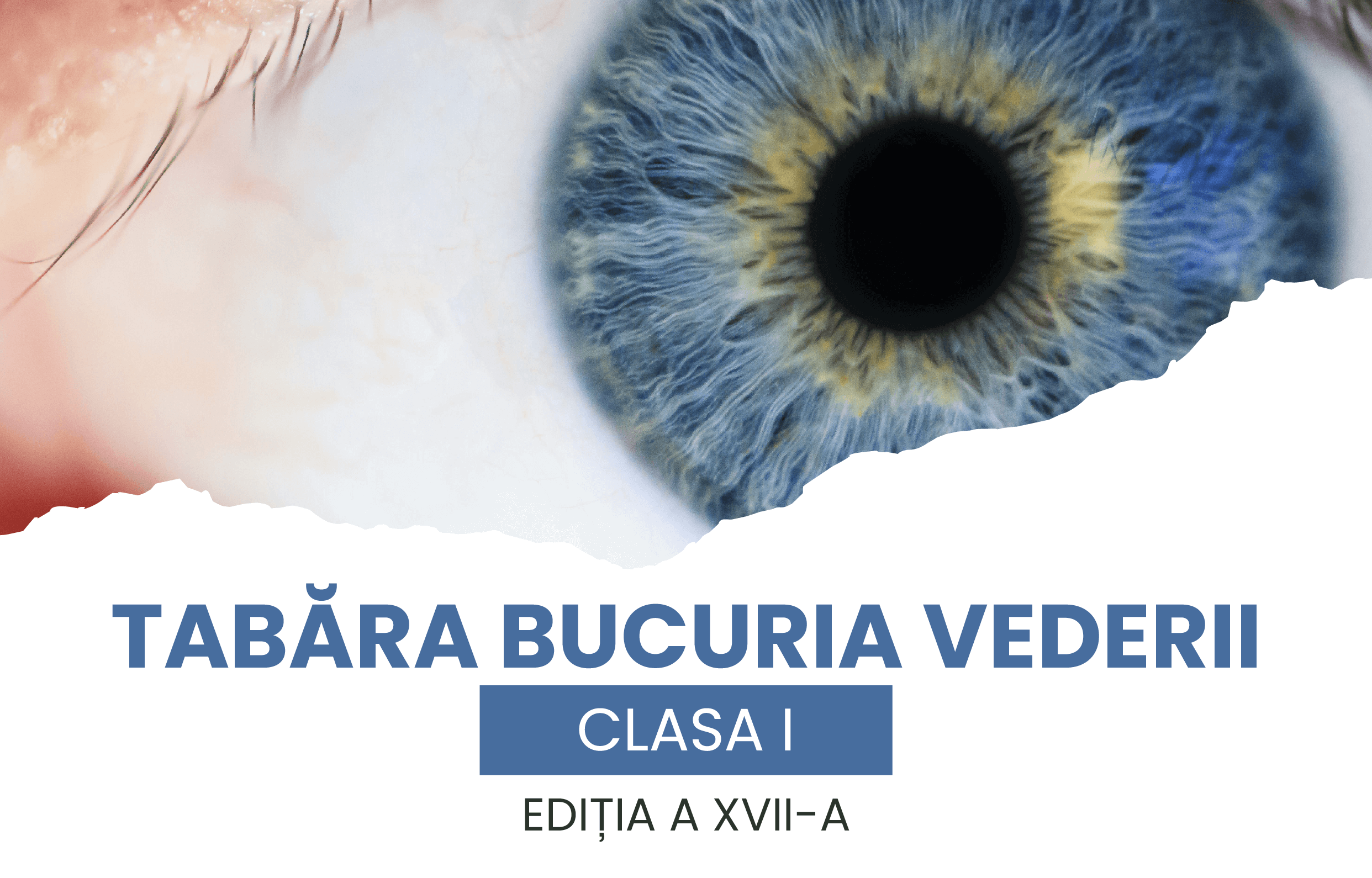 proiect-bannere-tabere-LP-2025_tabara-bucuria-vederii